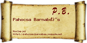 Pahocsa Barnabás névjegykártya