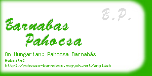 barnabas pahocsa business card