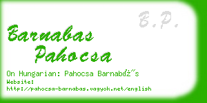barnabas pahocsa business card